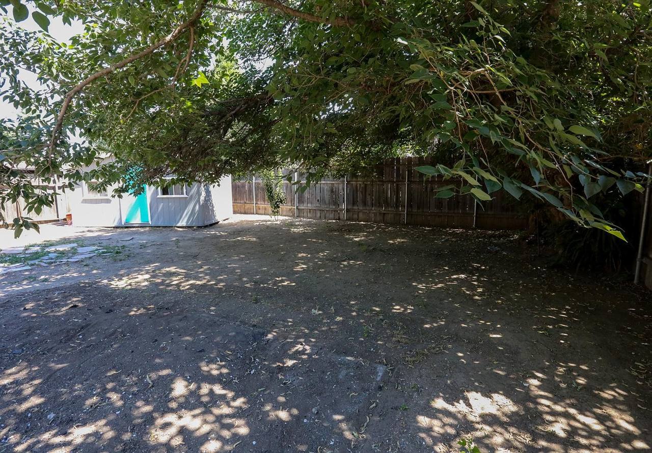 Shaded backyard with mature trees at the Reseda rental house